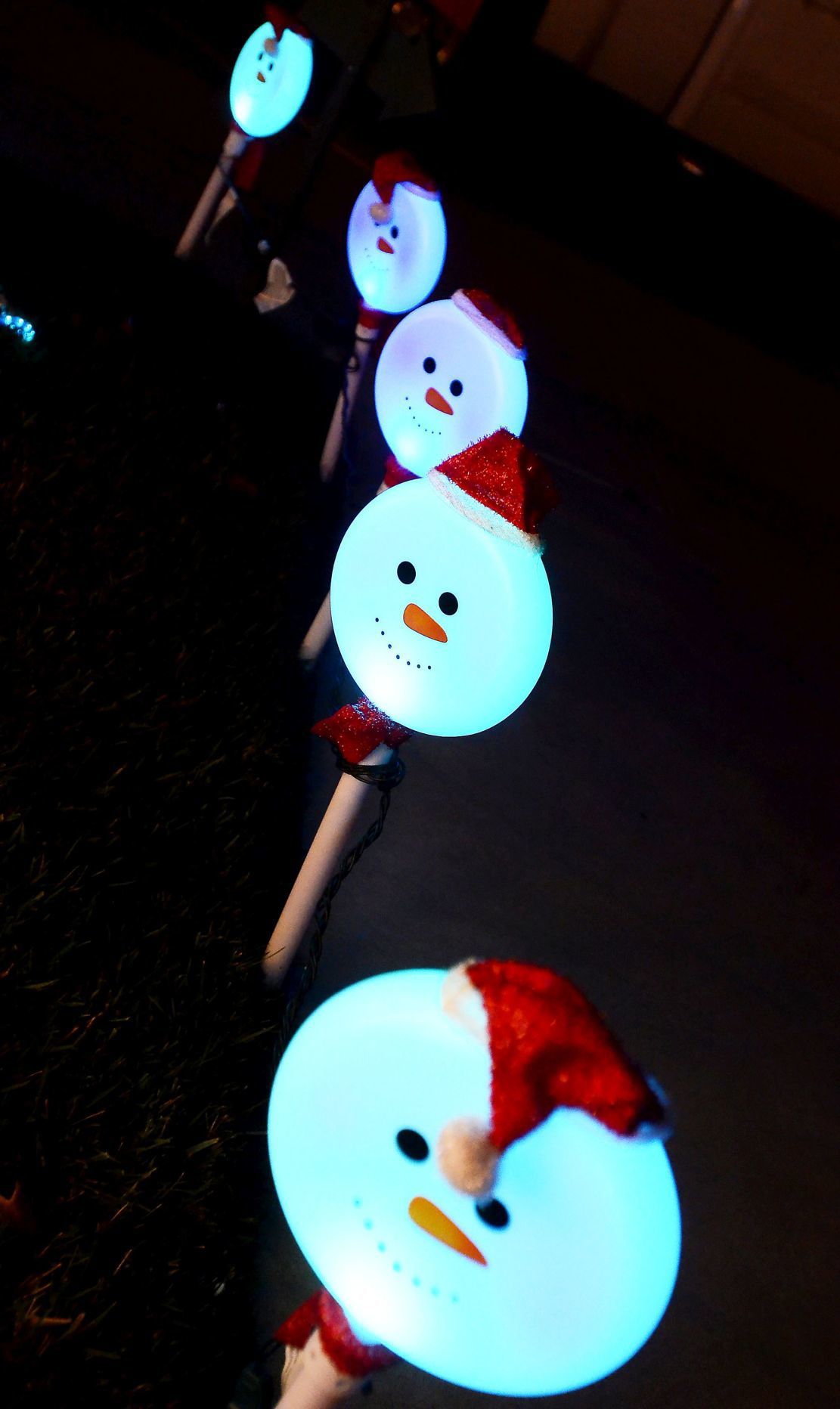 Napa Christmas lights